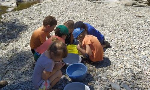 Animation Nature : Le Petit Peuple de l'Eau