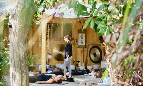 Retraite initiatique avec les chevaux - Oliveraie de Paul