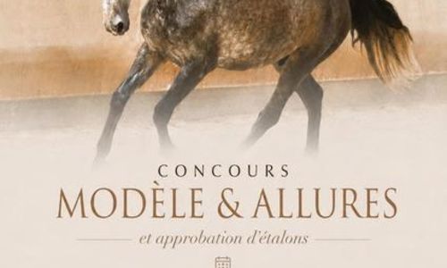 Concours au Haras - mod&egrave;le et allures