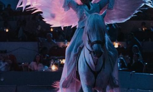 D&icirc;ner / D&eacute;jeuner spectacle equestre et flamenco