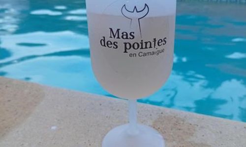 Mas des Pointes - G&icirc;te La Paill&egrave;re