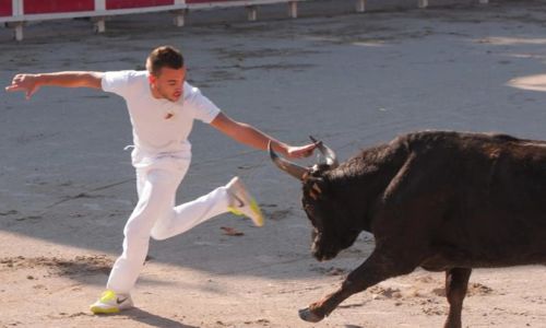 Courses Camarguaises - Troph&eacute;e Niveau Avenir &agrave; Beaucaire