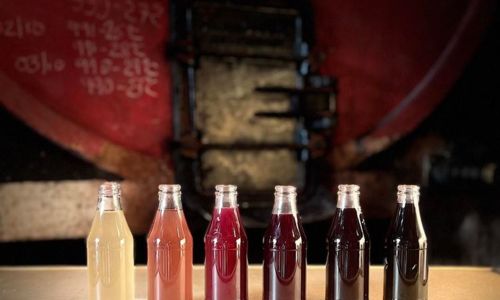 Visite de cave et d&eacute;gustation comment&eacute;e au domaine Tour Paradis