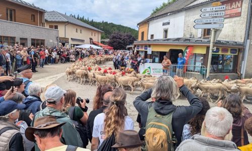 F&ecirc;te de la Transhumance