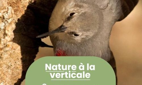 Rendez-vous Nature - Animations et balades gratuites &agrave; Sainte-Anastasie - Novembre