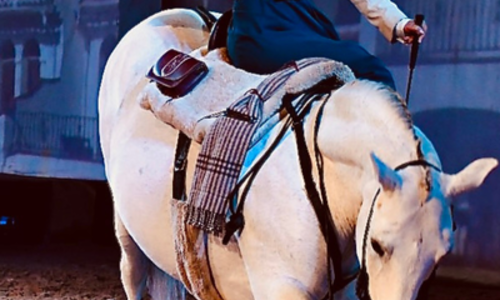 Repas Spectacle Equestre & Flamenco