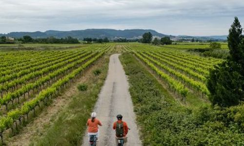 Boucle cyclod&eacute;couverte Vigneronne