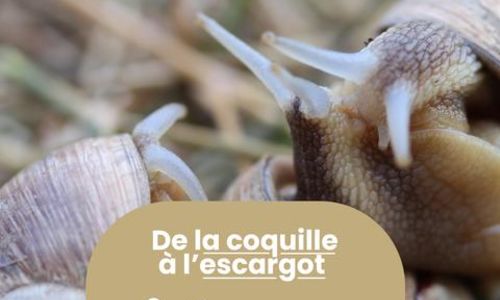 Rendez-vous Nature - Animations et balades gratuites &agrave; N&icirc;mes