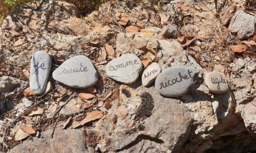 Sortie : Reflets de rivi&egrave;re, secrets de galets
