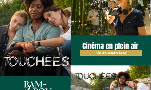 Cin&eacute;ma en plein air &agrave; la Bambouseraie en C&eacute;vennes