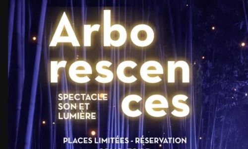 JEP 2026 : Spectacle nocturne &agrave; la Bambouseraie
