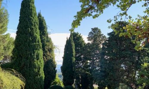 Conf&eacute;rence balade &laquo;De la fleur de la botanique &agrave; l&rsquo;art&raquo;