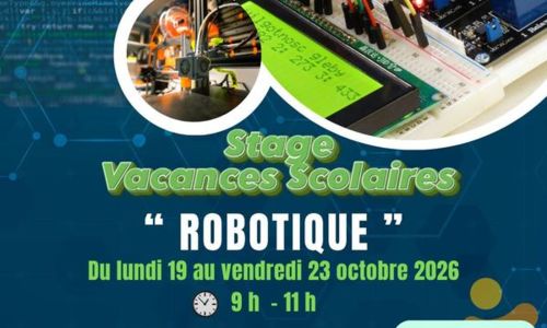Stage Vacances Scolaires - Robotique