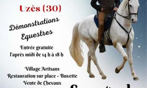 3&egrave;me &eacute;dition - F&ecirc;te du cheval barbe