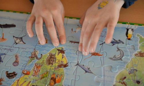 Jeux et puzzles participatifs