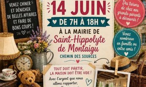 Vide grenier
