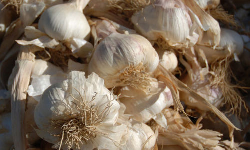 March&eacute; de St Julien de Peyrolas