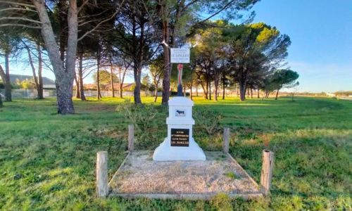 Le Cailar, village embl&eacute;matique de la Camargue gardoise