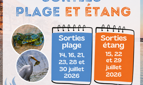 D&eacute;couvrez la biodiversit&eacute; du littoral
