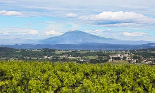 Saint Paulet Vignobles