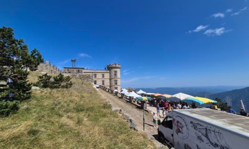 L'Estival de l'Aigoual