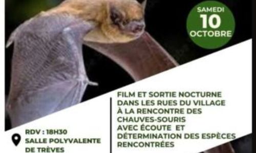 Jour de la nuit