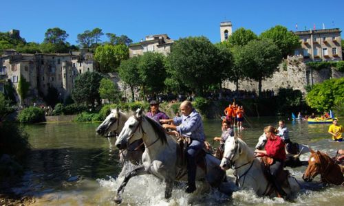 Journ&eacute;e Taurine