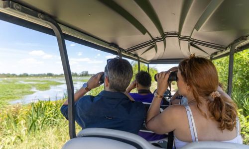 Safari en voiturette &eacute;lectrique - R&eacute;serve du Petit Rh&ocirc;ne
