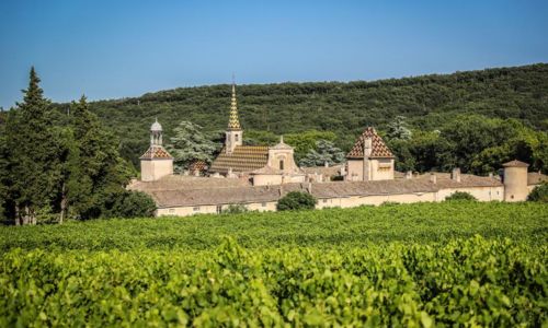 For&ecirc;t domaniale de Valbonne