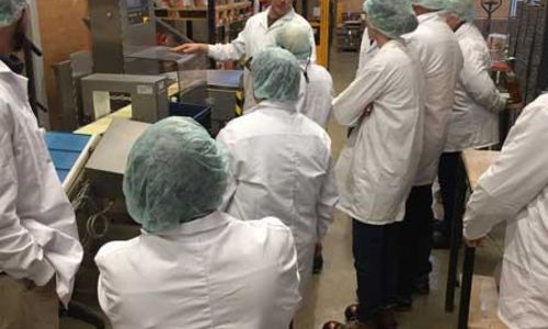 Arcadie - Visite guid&eacute;e