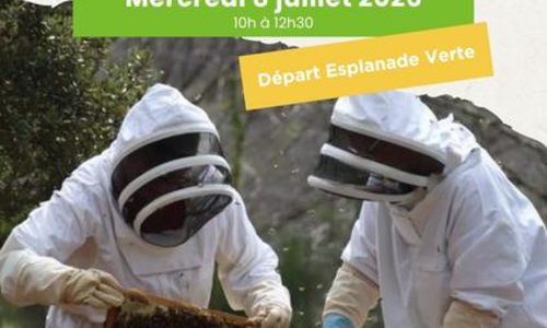Visite du Rucher