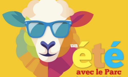 Venez Observer les Jeunes Gypa&egrave;tes Barbus