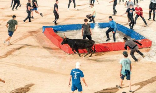 Toro piscine