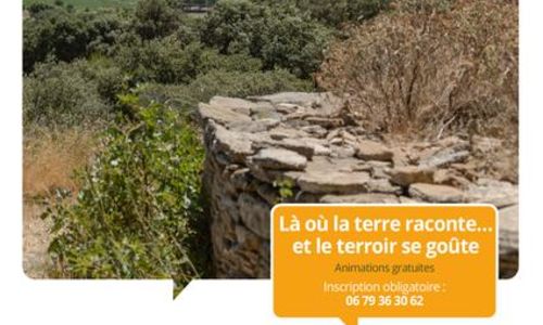 Terroirs vagabonds - Sernhac