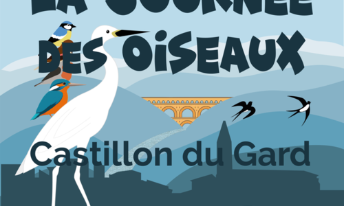 Hirondelles et patrimoine du c&oelig;ur de village - Avril en balade 2026