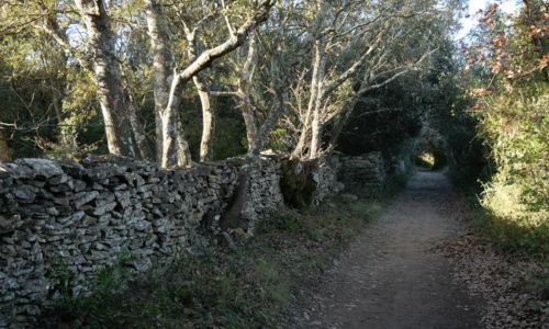 Parcours VTT 2 - Uz&egrave;s Les Capitelles