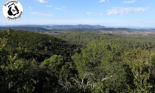 Randonn&eacute;e Le bois de Paris