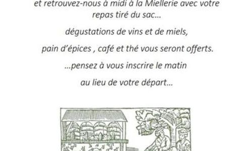 Journ&eacute;e des Sentiers de Clairan - Du vin au miel