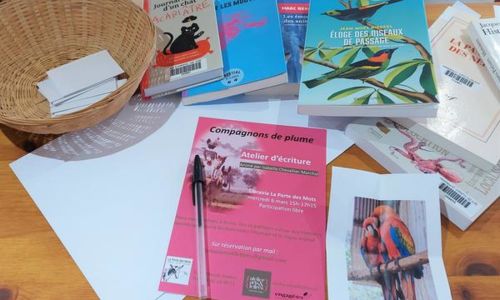 Stage : Ateliers et stages d&rsquo;&eacute;criture : Pratiquer une expression &eacute;crite libre, spontan&eacute;e, intuitive