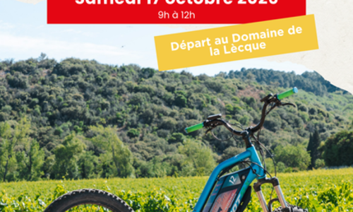 Balade Vigneronne