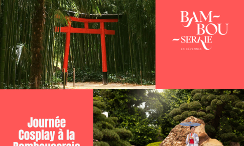 Journ&eacute;e cosplay