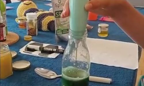 Atelier de cr&eacute;ation d'une boisson au miel et &agrave; la spiruline