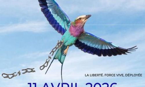 Clameurs po&eacute;tiques