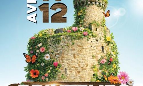 Printemps en Camargue