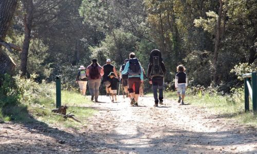 Marche du 1er Mai des Vignerons de Sabran