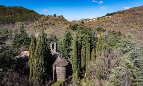 Les ann&eacute;es Asphod&egrave;les