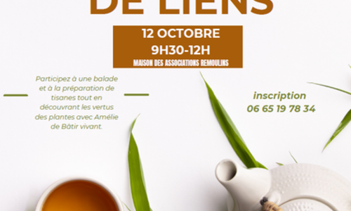Balade et tisane papote - Jardin des liens