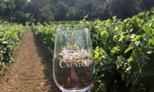 D&eacute;gustation Domaine de Cauviac