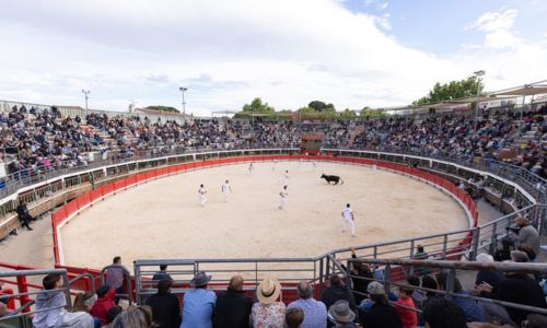 Ar&egrave;nes - Vauvert