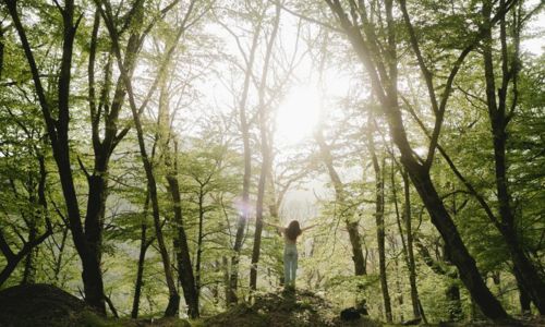 Bain de for&ecirc;t